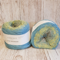 Silk Degradé 2