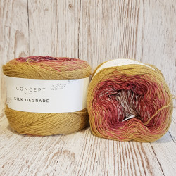 Silk Degradé 2