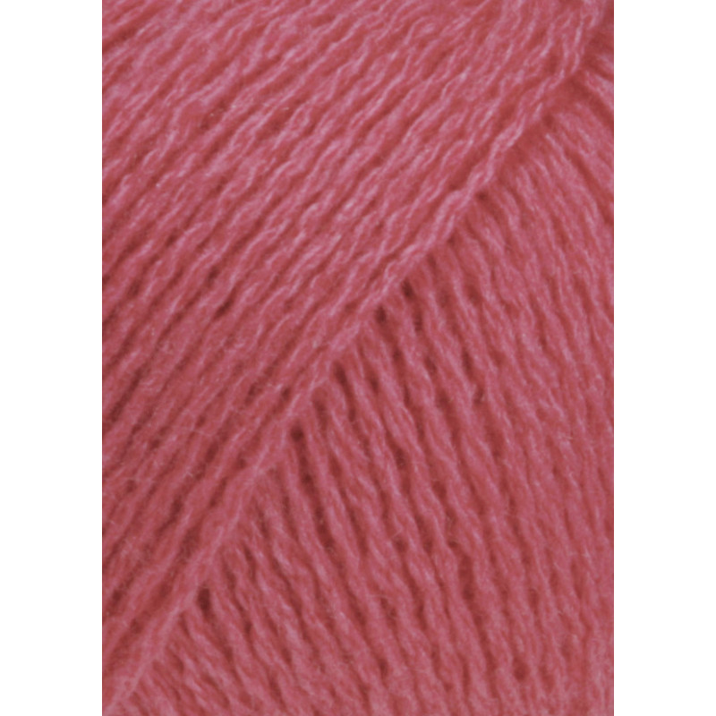 Cashmere Lace