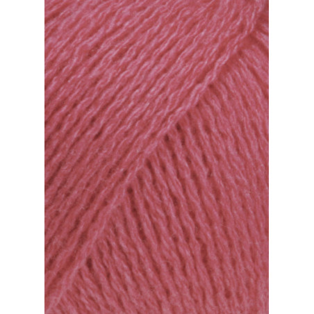 Cashmere Lace