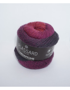 Cardamome 2